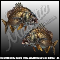 Bream - Decals - Mirrored Pair